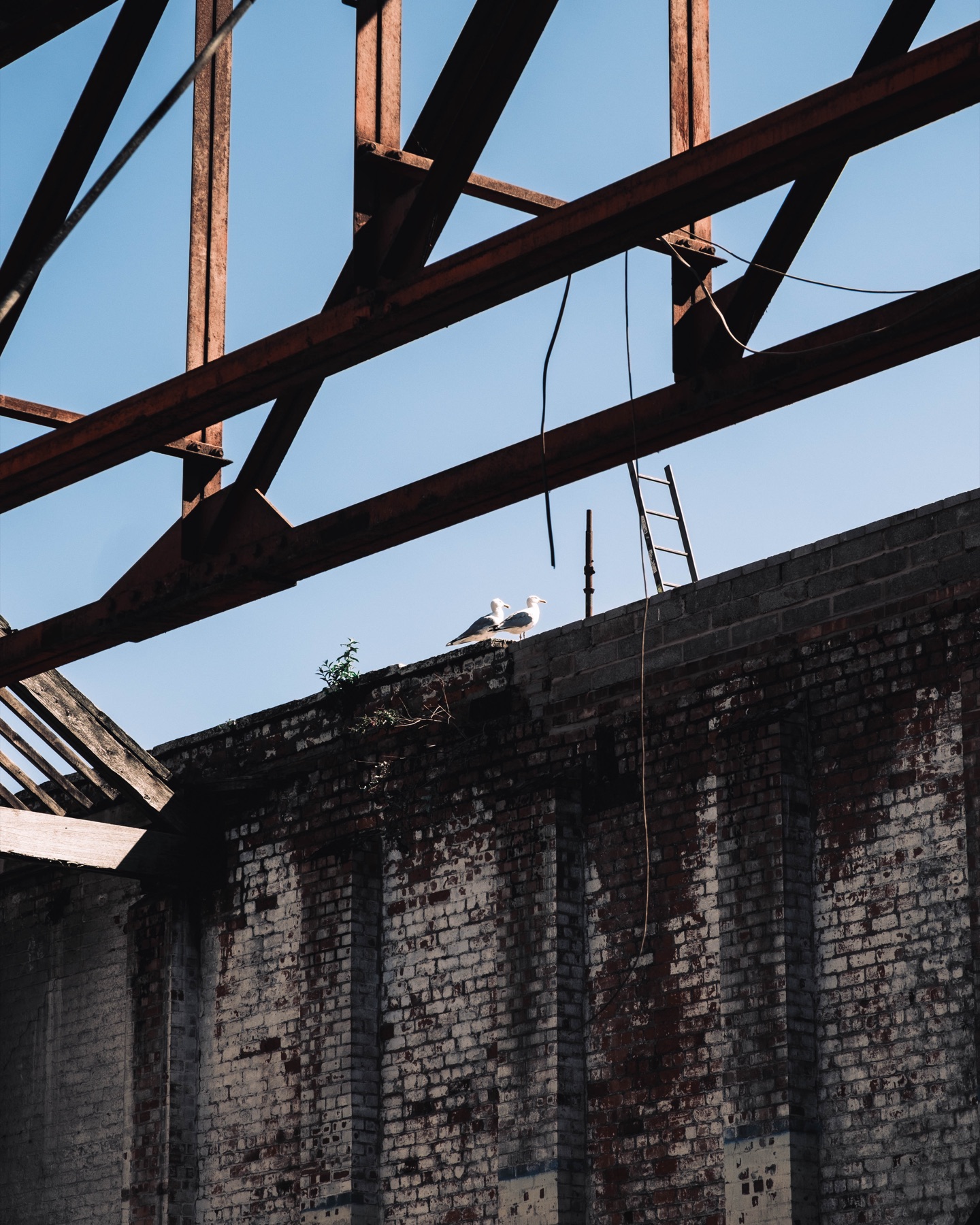 Steel roof beams against a clear blue sky